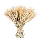 Se utiliza para tarjetas de invitación, bodas, hogar, Navidad, arreglos florales, arte, decoraciones para fiestas.