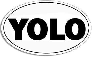 Magnet White Oval YOLO Magnetic Sticker You Only Live Once Funny