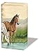 Produktbild Ambiente Taschentücher 6 x 10 Stück Taschentücher Motiv: Horses - Pferde am See neues Motiv