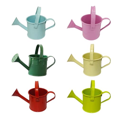 Lot de 6 arrosoirs miniatures en fer résistant pour vos plantes de balcon