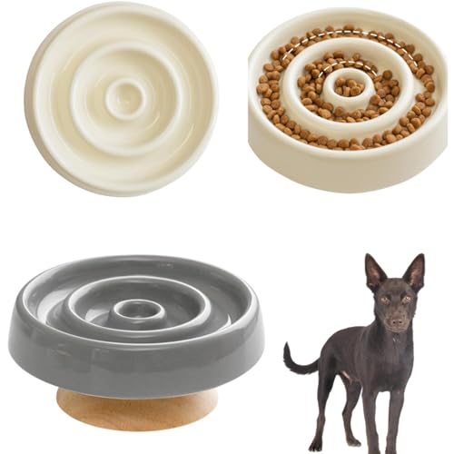 Lifetips I[XgAPs[ Ps[ Lp X[t[h{E ؐ Hh~ ~ HZbg ^ L  􂢂₷ iؐx-X^CvO[j