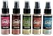 Lindy's Stamp Gang 398837 Starburst Spray Set, Autumn Leaves, 2 oz, Pack of 5