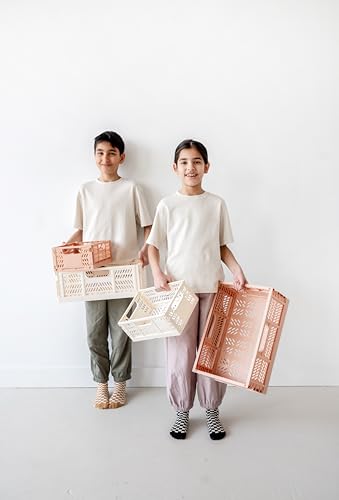 3 Sprouts - Cassette Pieghevoli In Plastica - Ideali Per Campeggio E Uso Domestico - Crema - 3