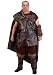 Plus Size Nordic Viking Costume 2X