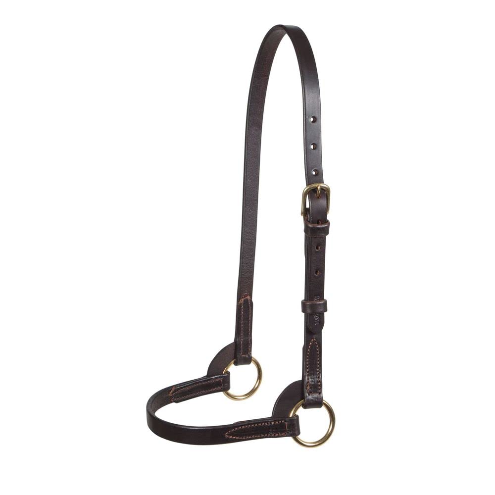 Schneiders Victor Supreme David Boggs Arabian Training Halter for Horses | Designed by Leading Trainer David Boggs | Made from Top-of-The-Line Leather | Handcrafted in The USA | Size Full Size