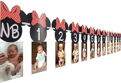 Minnie Mouse Birthday Photo Banner - NB to 12 Month Minnie First Birthday Banner - Minnie Themed First Birthday Decorations - Minnie Mouse 1st Birthday Supplies - Minnie Clubhouse Party, (Red Bow)