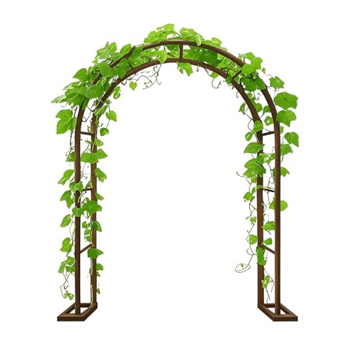 Arche de Jardin en métal grand format treillis acier robuste plantes grimpantes