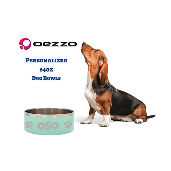 Premium Laser Engraved Personalized, Stainless Steel Dog Bowl, Double Wall Bowl for Dogs, Cats and Other Pets (64oz, Seafoam) Premium Laser Engraved Personalized, Stainless Steel Dog Bowl, Double Wall Bowl for Dogs, Cats and Other Pets (64oz, Seafoam)