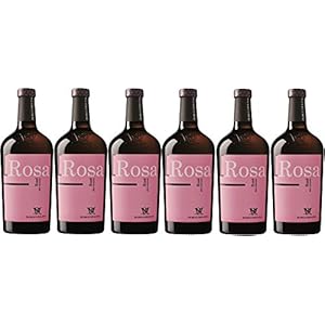 Borgo Molino I Rosa Rosé Raboso Veronese 2019 Wein trocken (6 x 0.75 l)