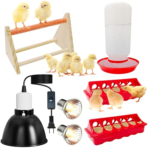 Chick Starter Kit 2 Chick Feeders and 1.3L Automatic Waterer Set with 75W Adjustable Heat Lamp (2 Bulbs) and Stand Perch Brooder/Coop Supplies for Baby Chicken Duck Quail
