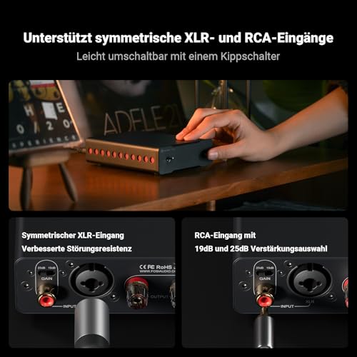 Fosi Audio V3 Mono Leistungsverstärker für Passive Lautsprecher, Mini Monoblock Class D Verstärker mit TPA3255, 240W HiFi Heimkino AVR Receiver, RCA/XLR symmetrische Eingänge, 48V/10A Netzteil