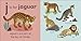J is for Jaguar (The Animal Alphabet Library)