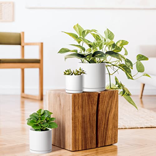 D'vine Dev White Terracotta Pots For Plants, 4.2 Inch 5.3 Inch 6.5 Inch, Succulent Planter Pot With Drainage And Saucer, 40-A-T-3 #TOP1