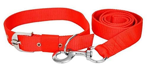 RvPaws Nylon Adjustable Leash and Collar Set Suitable for Puppies & Medium Dog (Red, 0.75 INCH) (B09CQ4N8TC) Amazon Price History, Amazon Price Tracker