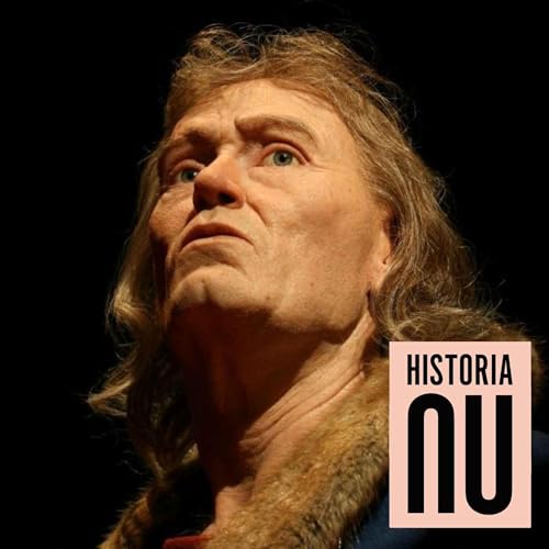 Med sv&auml;rd och lag: Birger Jarl och rikets f&ouml;delse