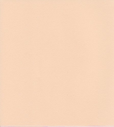 エスケント ケント紙 スターカラー 八切 エッグシェル 100枚 5722008