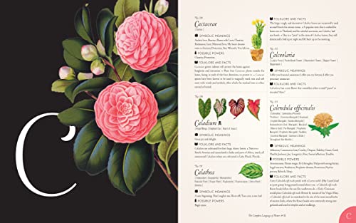 The Complete Language of Flowers: A Definitive and Illustrated History - Pocket Edition (Complete Illustrated Encyclopedia) - Image 4