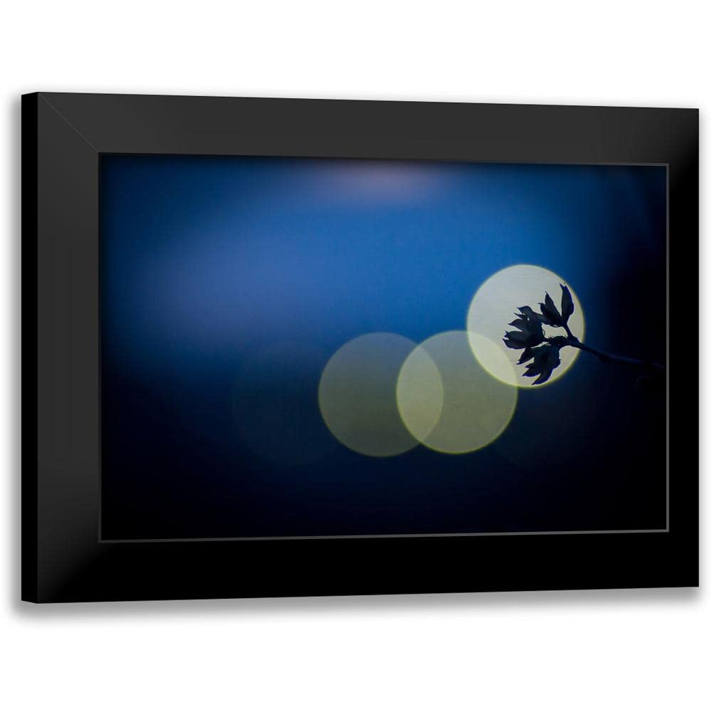 ArtDirect - Tomihisa, Kouji 24x17 Black Modern Framed Art Print Titled: Hikari