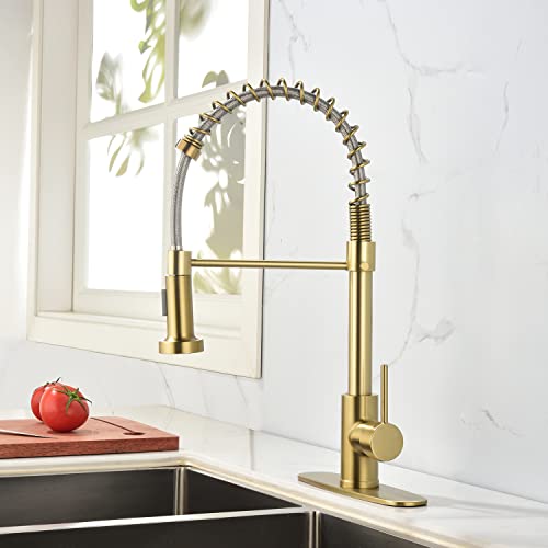 Phichi Kitchen Faucet With Dual Function Pull-Down Spray Head In All-Brite Finish, Commercial Single Handle Brushed Gold Kitchen Sink Faucet With Deck Plate, 1 Hole Or 3 Hole Compatible. #TOP7