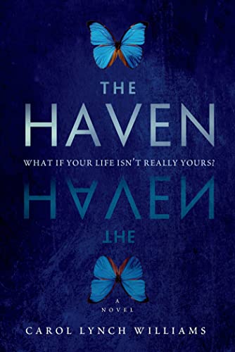 The Haven: A Novel view 2
