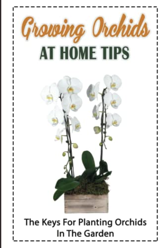Growing Orchids At Home Tips: The Keys For Planting Orchids In The Garden