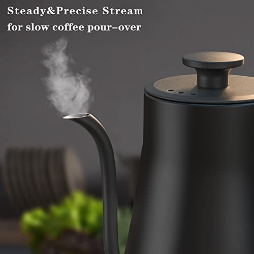 Image of Electric Gooseneck Kettle (0.9L)