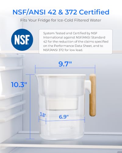 Waterdrop PT-04C Water Filter Pitcher, 10-Cup, NSF Certified, Clear - Image 2