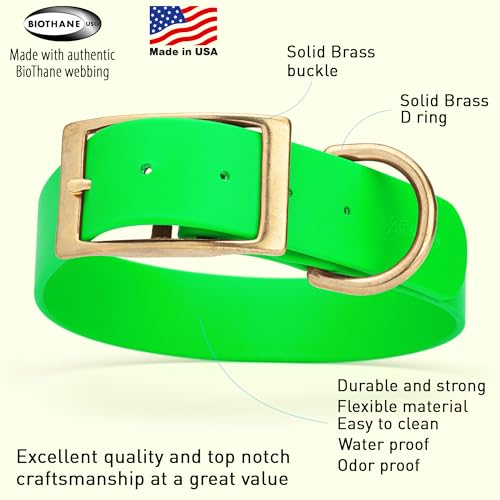 Image of Viper Biothane Heavy Duty Waterproof Dog Collar Strong Coated Nylon Webbing w /Solid Brass Hardware Odor-Proof Easy to Clean High Performance Fits Small Medium or Large Dogs, Tropical Green