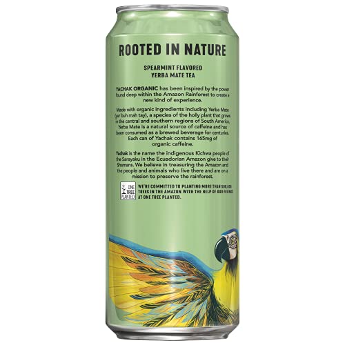 Yachak Yerba Mate Drink, Ultimate Mint, Packaging May Vary, 16 Fl Oz, Pack Of 12 #TOP1