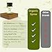 ORGANIC SPREE Amla 120 Tablets – USDA Organic Indian Gooseberry – Rich in Vitamin C & Supports Immune Health*