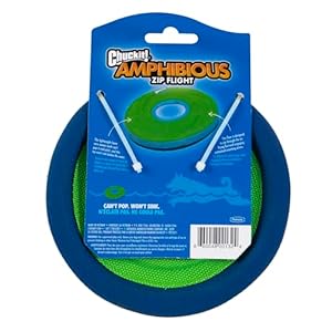 Chuckit! Zipflight Flying Disc Dog Toy, Small (6"), Orange And Blue Chuckit Zipflight Flying Disc Dog Toy Small 6 Orange And Blue