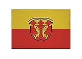  U24 Aufnäher Fischen im Allgäu Fahne Flagge Aufbügler Patch 9 x 6 cm