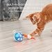 BENTOPAL Wicked Ball Smart Interactive Toy for Cats and Dogs Automatic Rolling USB Rechargeable Two Running Modes with Colorful Lights Durable Self Rotating Gravity Sensor Fun Gift for Cats & Dogs