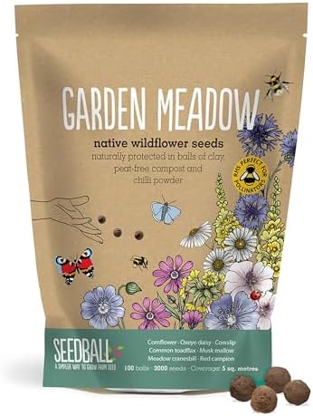Seedball Garden Meadow Wildflower Seed Bombs, 100 Seed Balls Per Pack