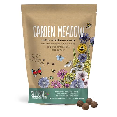 SEEDBALL Garden Meadow Seed Bombs – 100 Seed Balls Per Pack | Pollinator Friendly Wildflower Seeds - Clay Protected Seed Bomb for Bees, Butterflies, Birds & Garden Wildlife