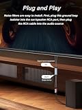 PNGKNYOCN RCA izolator szumów, dwukanałowy filtr sygnału audio RCA, do samochodowych urządzeń audio/domowego stereo, dźwięk o wysokiej wierności do eliminacji szumów