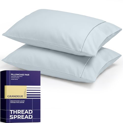 Image of THREAD SPREAD 100% Egyptian Cotton Pillow Cases Queen Size Set of 2 - Luxury 2000 Series Queen Pillow Cases (21 inch x 32 inch, Light Blue), Soft Cooling Envelope Closure Hotel Egyptian Cotton Pillowcases