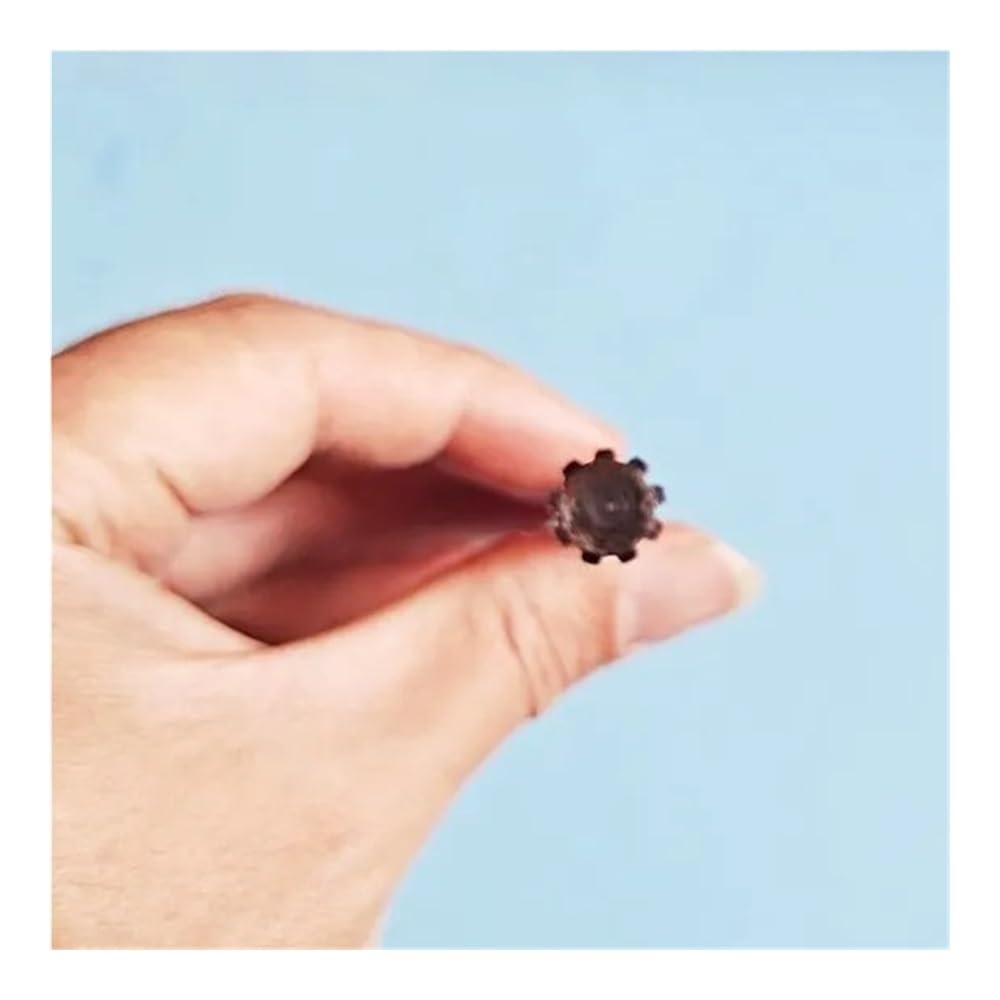 Eje de transmisión de 9 Dientes y 8 mm de diámetro, Apto for miniexcavadoras manuales con Tubo de 26 o 28 mm de Longitud, 530 mm.(2 x Drive Shaft)