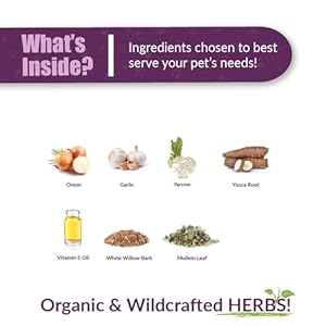 Amber NaturalZ Otaxium Drops Herbal Supplement for Dogs, Cats, Birds, Guinea Pigs, and Rabbits | Pet Herbal Supplement for Ear Health | 1 Fluid Ounce Glass Bottle | Manufactured in The USA