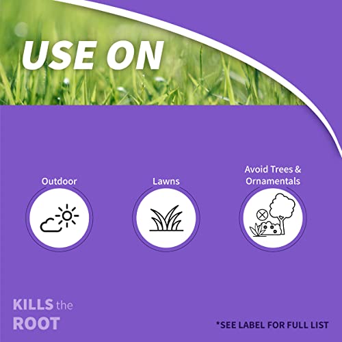 Bonide Sedge Ender, 16 oz Concentrated Weed Killer For Outdoors - image 2