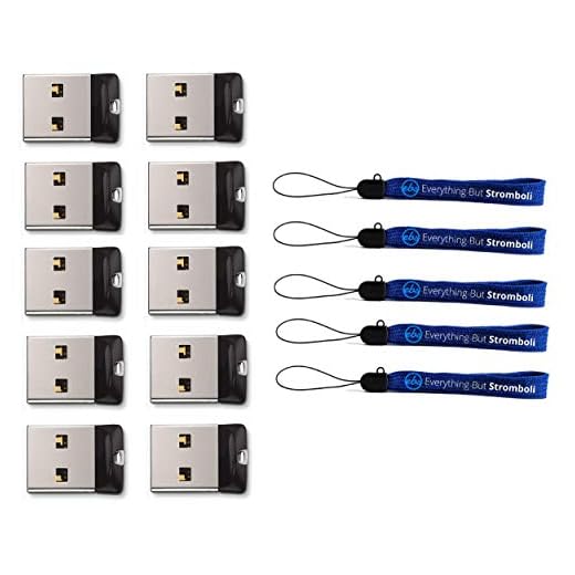 SanDisk Cruzer Fit 16 GB USB Flash Drive SDCZ33-016G-B35 Flash Drive Jump Drive Pen Drive (10 PACK) w/ (5) Everything But Stromboli (TM) Lanyards