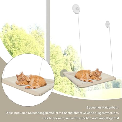 Espace de couchage idéal pour chat d'appartement : éliminez l'encombrement au sol - 5