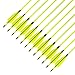 XTCXCARCHERY 31.5