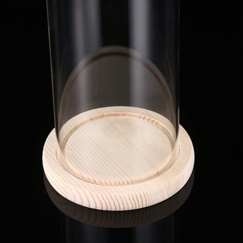 Cúpula de cristal protectora contra el polvo para flores secas y delicadas 4