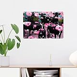 Photo Gallery targa in metallo da parete in metallo con motivo di mucche con fiori rosa, stile vintage, divertente, decorazione da parete per bagno, per casa, ufficio, cucina, bar, caffetteria, giardino, 20 x 30 cm Photo Gallery targa in metallo da parete in metallo con motivo di mucche con fiori rosa, stile vintage, divertente, decorazione da parete per bagno, per casa, ufficio, cucina, bar, caffetteria, giardino, 20 x 30 cm