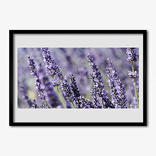 Affiche encadrée 70x50 cm cadre murale salon chambre cuisine fleurs Tulup