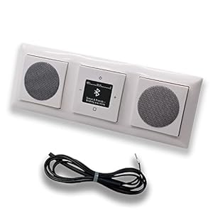 Busch Jäger DAB+ Unterputzradio Balance alpinweiß Set