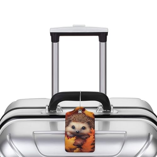 Cute Hedgehog Autumn Luggage Tag with Stainless Steel Loop and Address Card for Travel Bag Suitcase 4 Pcs4