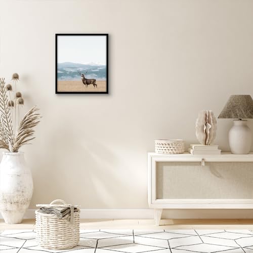 Americanflat 14x16 Picture Frame with Polished Plexiglass - Streamline Collection - Thin Border Picture Frame for Wall Display - Hanging Hardware Included - Black