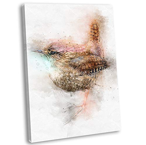 Image of Wren Watercolour Style Illustration Canvas Art Print Framed British Bird Picture (40x25cm / 16x10inch)